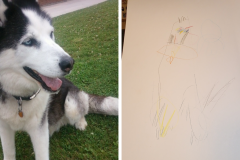 Poorly Drawn Pets-Website Template - 1