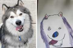 Poorly Drawn Pets-Website Template - 1
