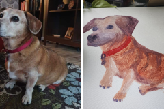 Poorly Drawn Pets-Website Template - 1