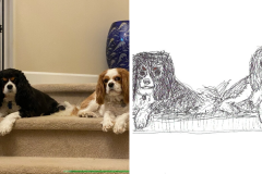 Poorly Drawn Pets-Website Template - 1