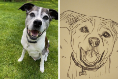 Poorly Drawn Pets-Website Template - 1