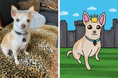 Poorly Drawn Pets-Website Template - 1