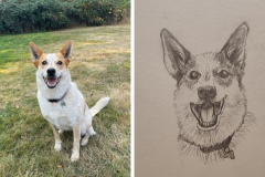 Poorly Drawn Pets-Website Template - 1