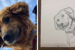 Poorly Drawn Pets-Website Template - 1