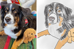 Poorly Drawn Pets-Website Template - 1