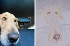 Poorly Drawn Pets-Website Template - 1
