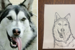 Poorly Drawn Pets-Website Template - 1