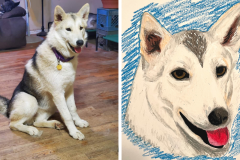 Poorly Drawn Pets-Website Template - 1