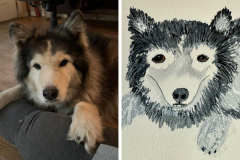 Poorly Drawn Pets-Website Template - 1