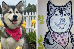 Poorly Drawn Pets-Website Template - 1