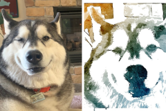 Poorly Drawn Pets-Website Template - 1