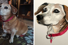 Poorly Drawn Pets-Website Template - 1