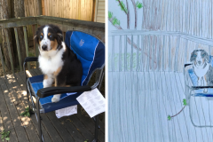 Poorly Drawn Pets-Website Template - 1