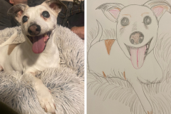 Poorly Drawn Pets-Website Template - 1