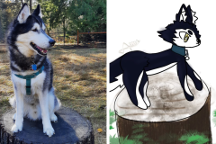 Poorly Drawn Pets-Website Template - 1