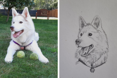 Poorly Drawn Pets-Website Template - 1