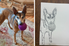 Poorly Drawn Pets-Website Template - 1