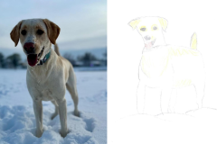Poorly Drawn Pets-Website Template - 1