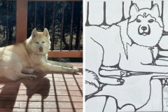 Poorly Drawn Pets-Website Template - 1