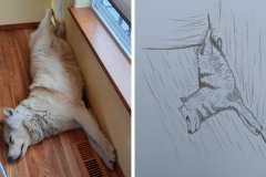 Poorly Drawn Pets-Website Template - 1