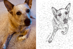 Poorly Drawn Pets-Website Template - 1