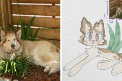 Poorly Drawn Pets-Website Template - 1