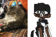 Poorly Drawn Pets-Website Template - 1