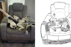 Poorly Drawn Pets-Website Template - 1