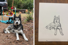 Poorly Drawn Pets-Website Template - 1
