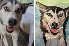Poorly Drawn Pets-Website Template - 1