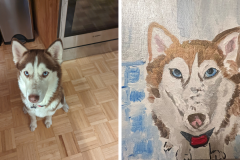 Poorly Drawn Pets-Website Template - 1