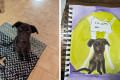 Poorly Drawn Pets-Website Template - 1