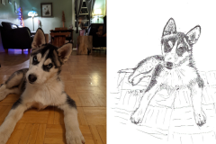 Poorly Drawn Pets-Website Template - 1