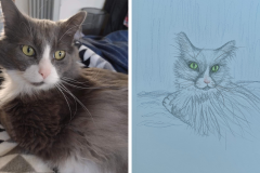 Poorly Drawn Pets-Website Template - 1