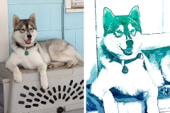 Poorly Drawn Pets-Website Template - 1