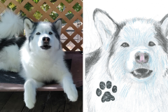 Poorly Drawn Pets-Website Template - 1
