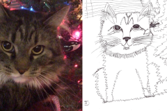 Poorly Drawn Pets-Website Template - 1