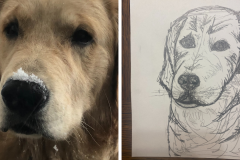 Poorly Drawn Pets-Website Template - 1