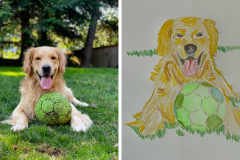Poorly Drawn Pets-Website Template - 1