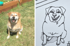 Poorly Drawn Pets-Website Template - 1