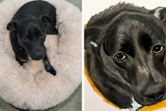 Poorly Drawn Pets-Website Template - 1
