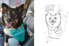 Poorly Drawn Pets-Website Template - 1