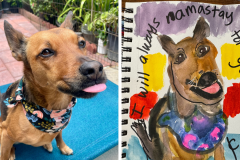 Poorly Drawn Pets-Website Template - 1