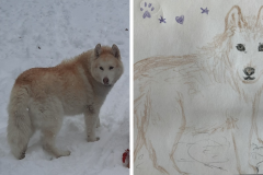 Poorly Drawn Pets-Website Template - 1