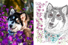 Poorly Drawn Pets-Website Template - 1
