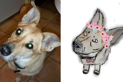 Poorly Drawn Pets-Website Template - 1