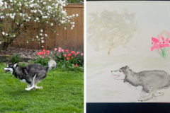 Poorly Drawn Pets-Website Template - 1