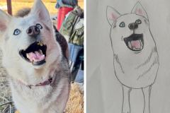 Poorly Drawn Pets-Website Template - 1