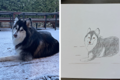 Poorly Drawn Pets-Website Template - 1