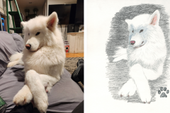 Poorly Drawn Pets-Website Template - 1